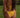 Cheeky Bottom