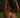Thong bottom
